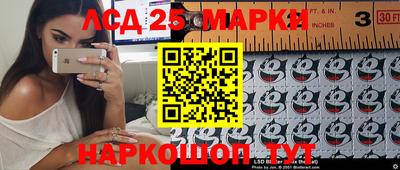 СК Донской
