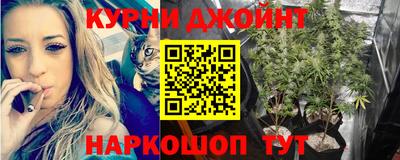 a pvp Дубна
