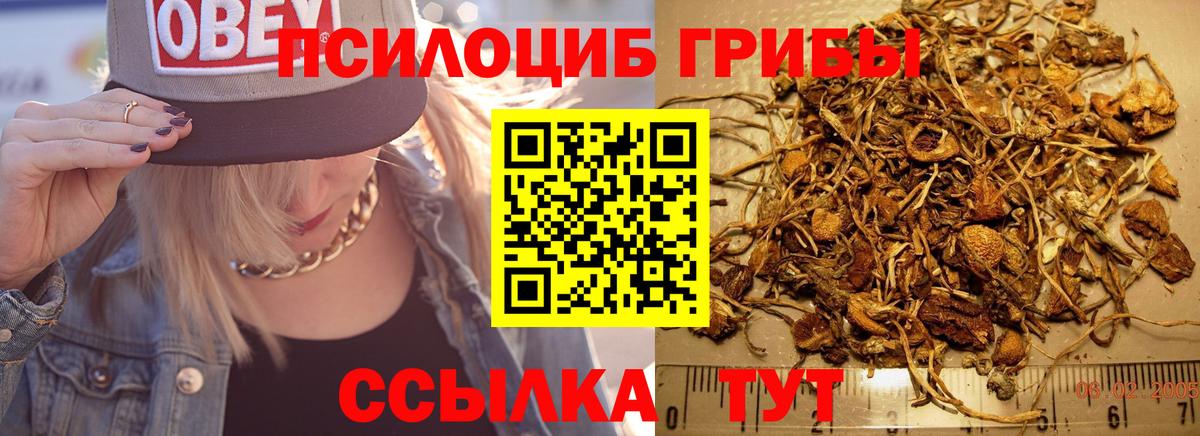 Минеральные Воды  Псилоцибиновые грибы Magic Shrooms  Псилоцибиновые грибы ЛСД  Вход с VPN 